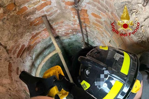 vigili del fuoco roasio gatto