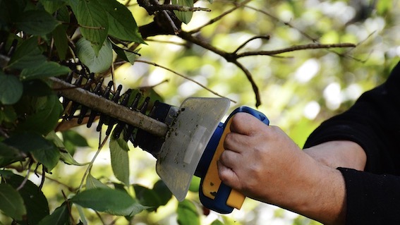 Marano Ticino, cantieri di Lavoro per Disoccupati over 45