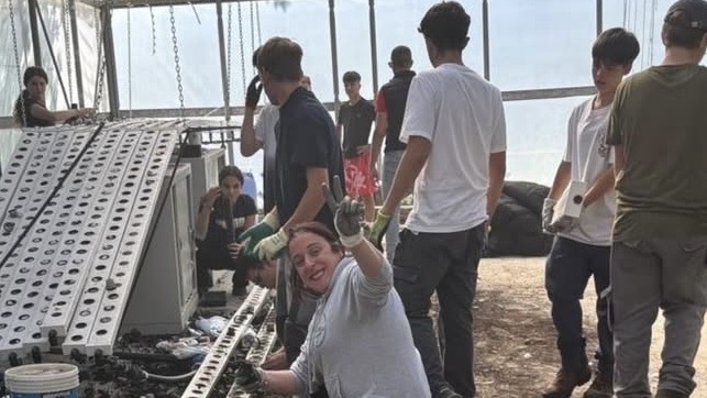 cavallini lesa ricostruzione serra