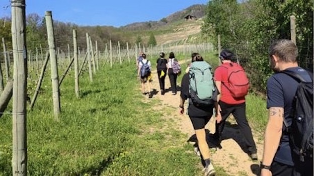 cammino colline novaresi