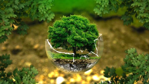 Armeno, partito progetto “Pagella Verde: i ragazzi valutano il loro futuro”