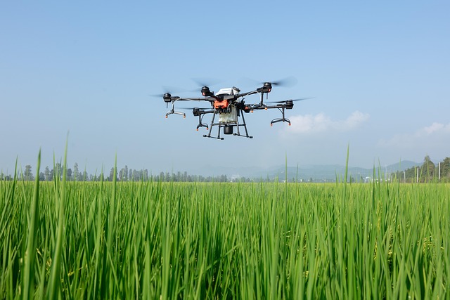 drone agricoltura