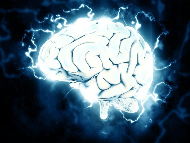 Novara, giornata di formazione dedicata all'Alzheimer