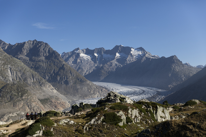 Aletsch-Gletscher schrumpft jährlich um 40 Meter: Alarm bei Brig