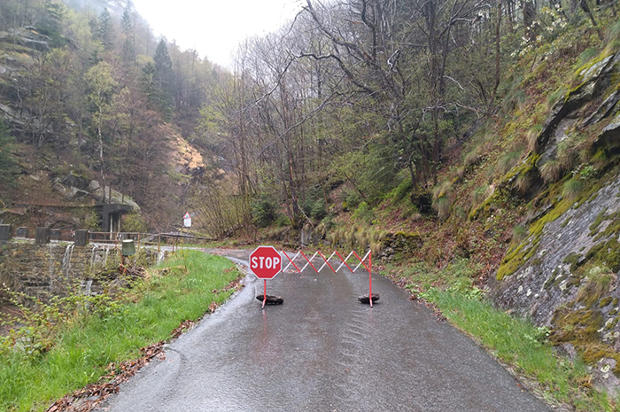 PHOTO 2025 04 18 20 51 48