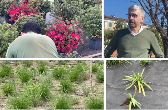 Schermata 2025 04 12 alle 15.57.17