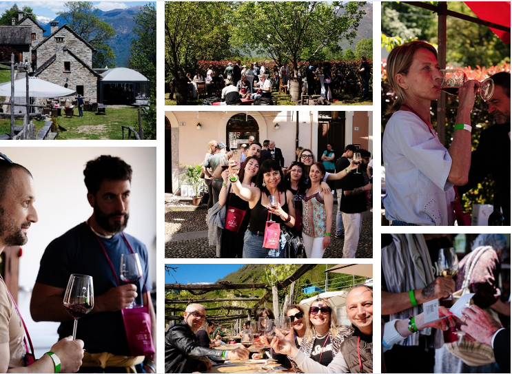 Oltre 400 presenze per “Ossola in Cantina”: successo confermato 