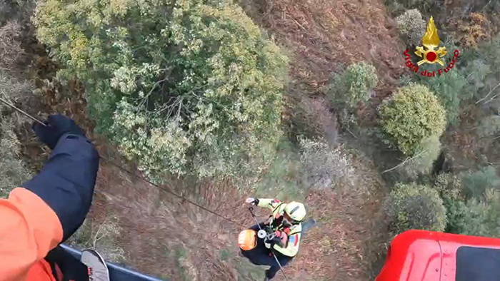  3344206448833705983 V2F 2025 10 11 22 22 19 033