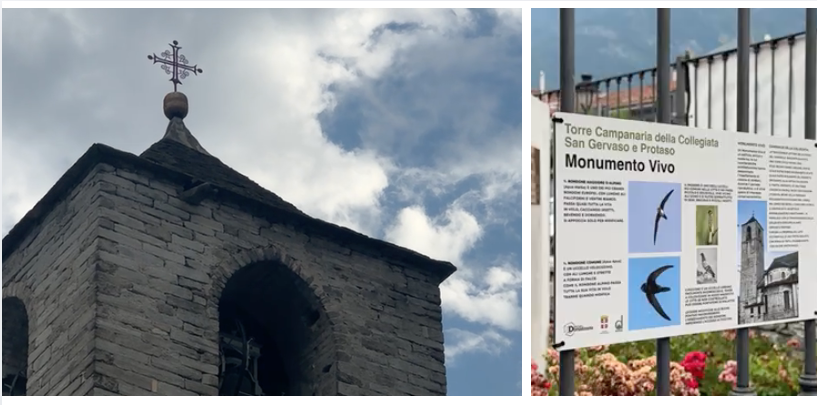 Domodossola: Der Kirchturm des Doms wird zum "lebenden Denkmal"