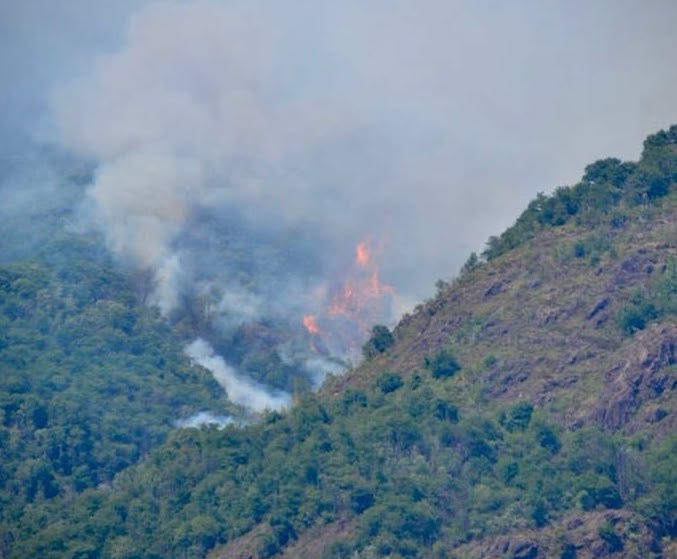 Premosello, il vento spinge il rogo verso Colloro e Cuzzago