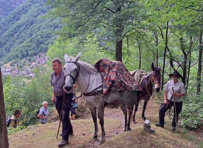 Simplon Säumer: i someggiatori tornano a Domodossola il 3 e 4 settembre